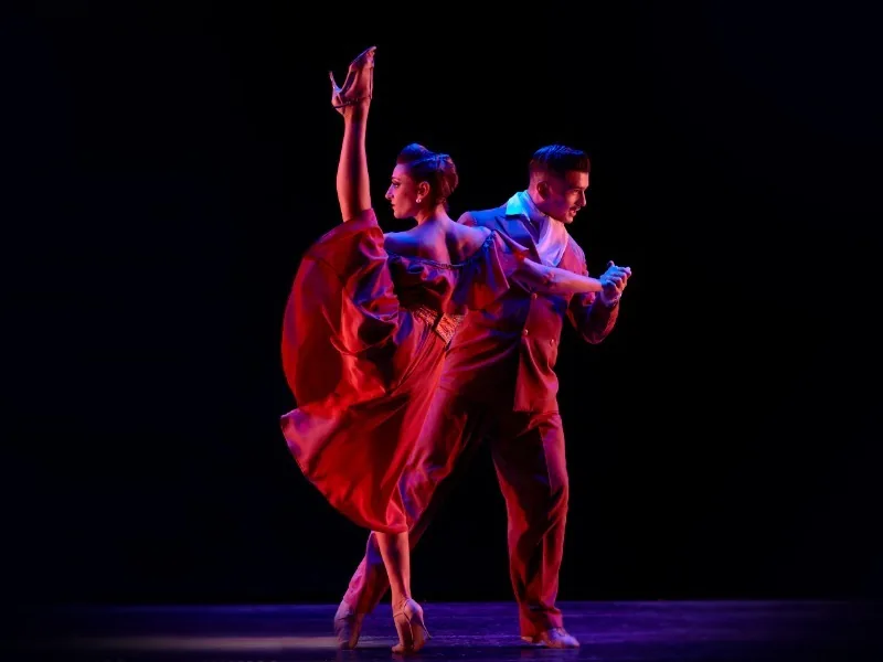 ✦PREMIUM✦ DÎNER GOURMET + SPECTACLE DE TANGO
